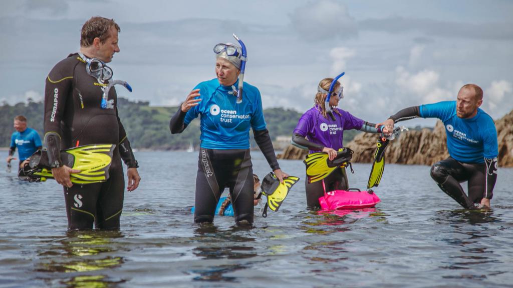 Snorkel Safaris