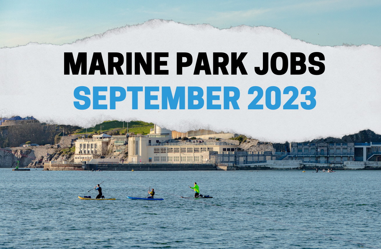 Marine Park Jobs this month