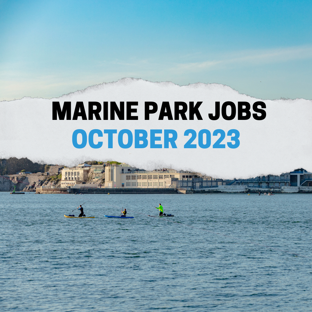 Marine Park jobs this October