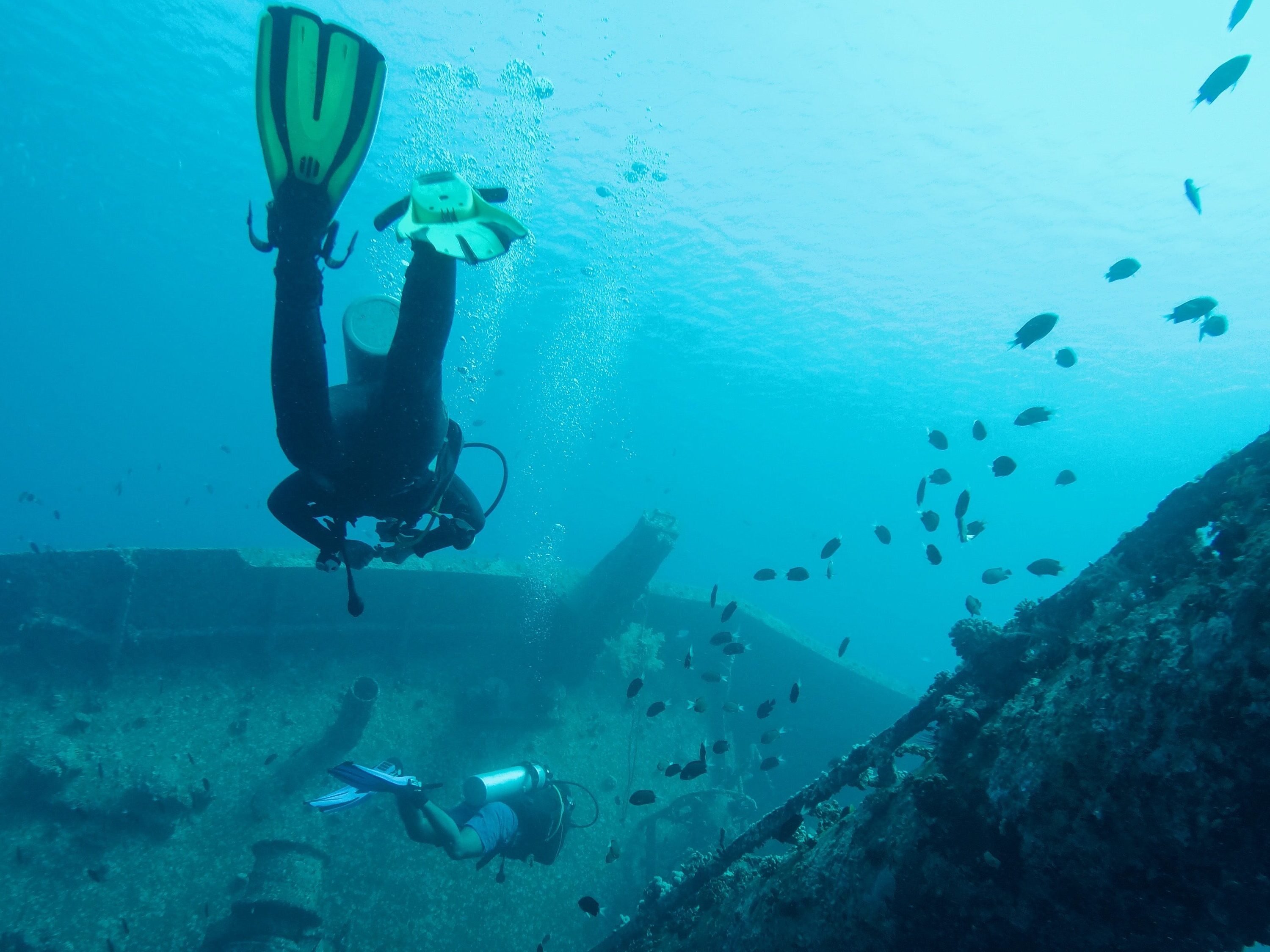 Scuba divers exploring a shipwreck.