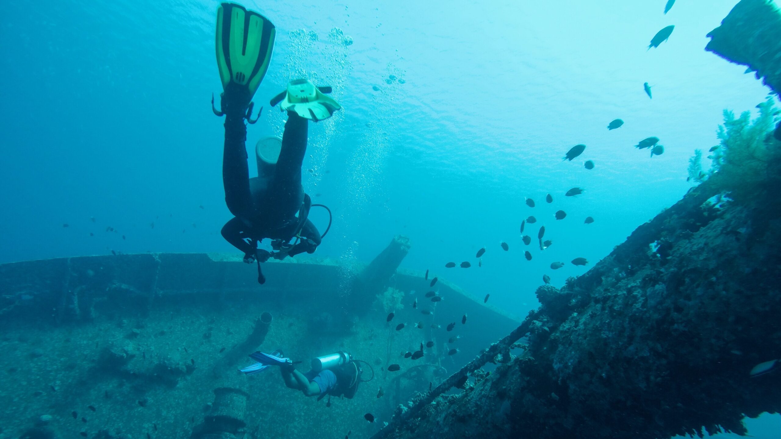 Scuba divers exploring a shipwreck.