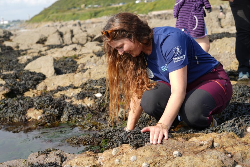 Plymouth Sound National Marine Park Coastal Ranger, Jess, getting stuck in during a BioBlitz Battle at Mount Batten beach. 