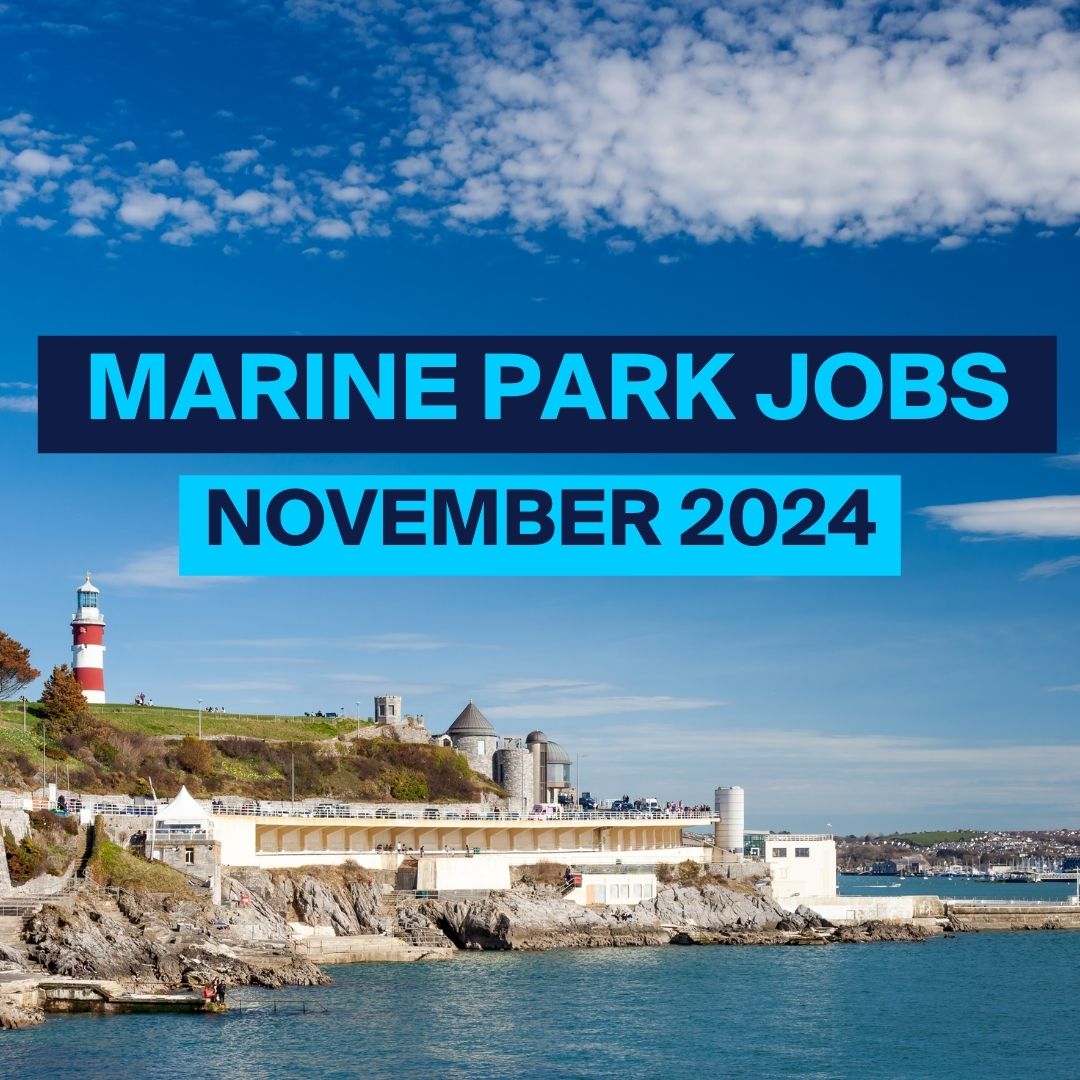 Find out about new jobs around Plymouth Sound National Marine Park