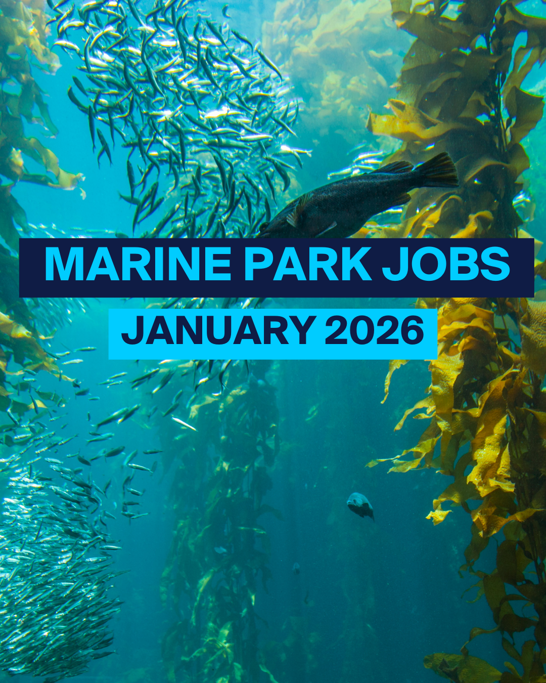 Marine Park Jobs January 2026