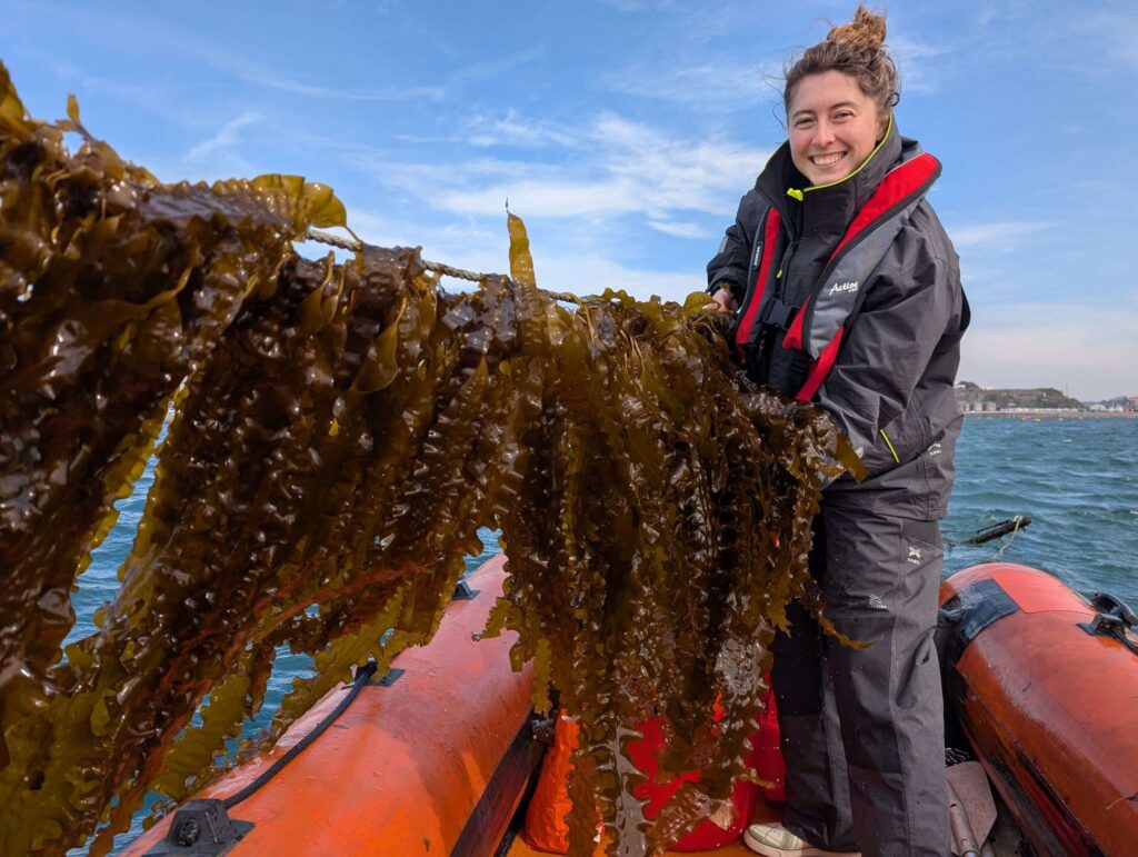 A woman on a dingy holding a load of kelp, ready to plant it in the seabed.