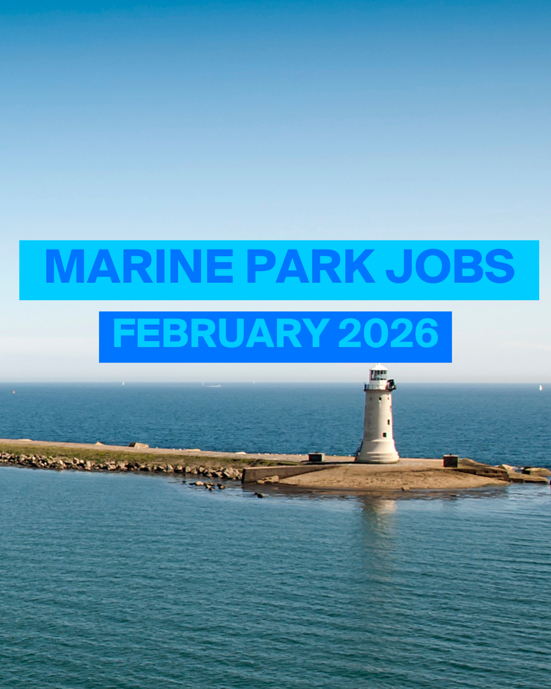 An image of the Plymouth breakwater lighthouse, sat in a calm sea and a blue sky. A caption overlays the image 'Marine Park Jobs - February 2026'