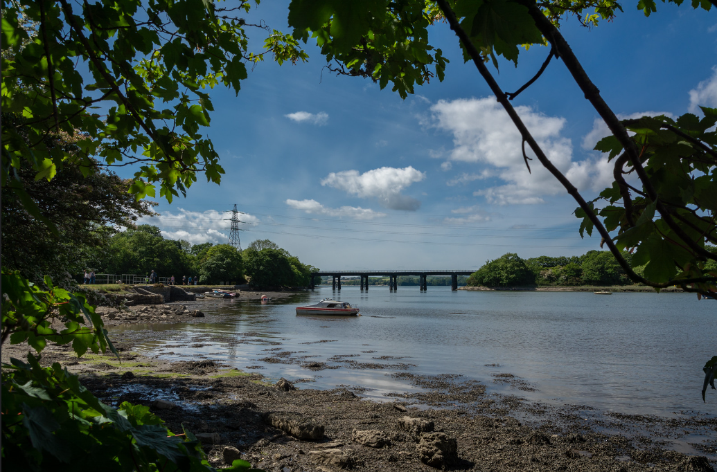 A wide shot of Ernesettle Creek and bridge with lust, green foliage in framing around the sides of the frame.