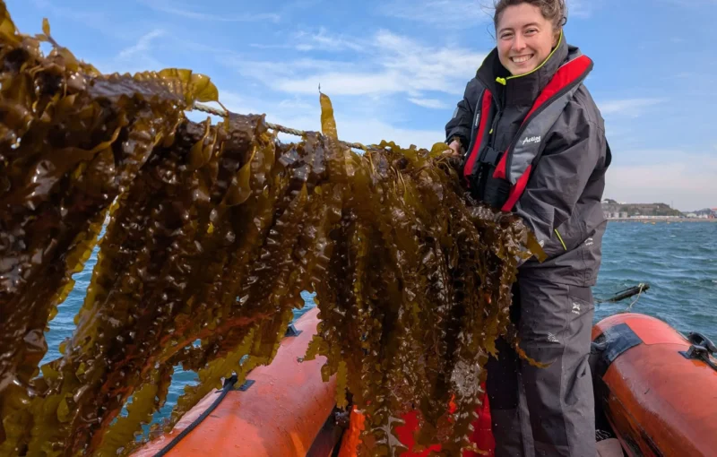 Woman from the BluGreens project on a small boat holding kelp that she has grown as a part of the Blue Sparks community grants programme