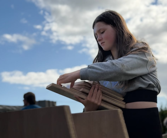 Blue Sparks - Big Sis CIC - Young person building a bird house by the coastal