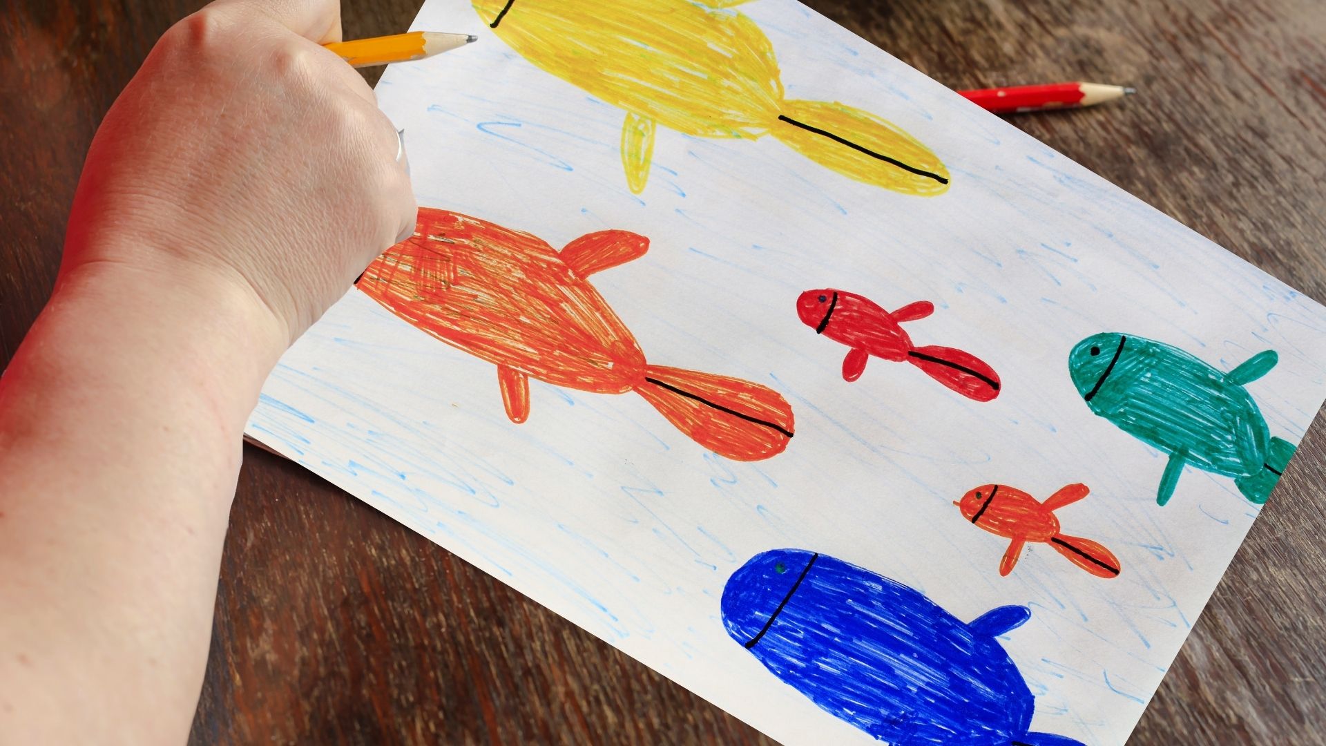 Get crafty - The Box fish doodle