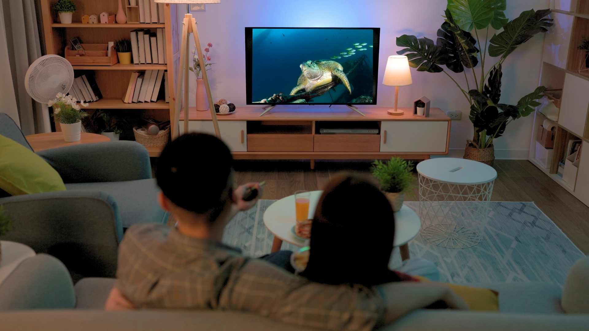 Learn something salty - people watching a turtle on TV